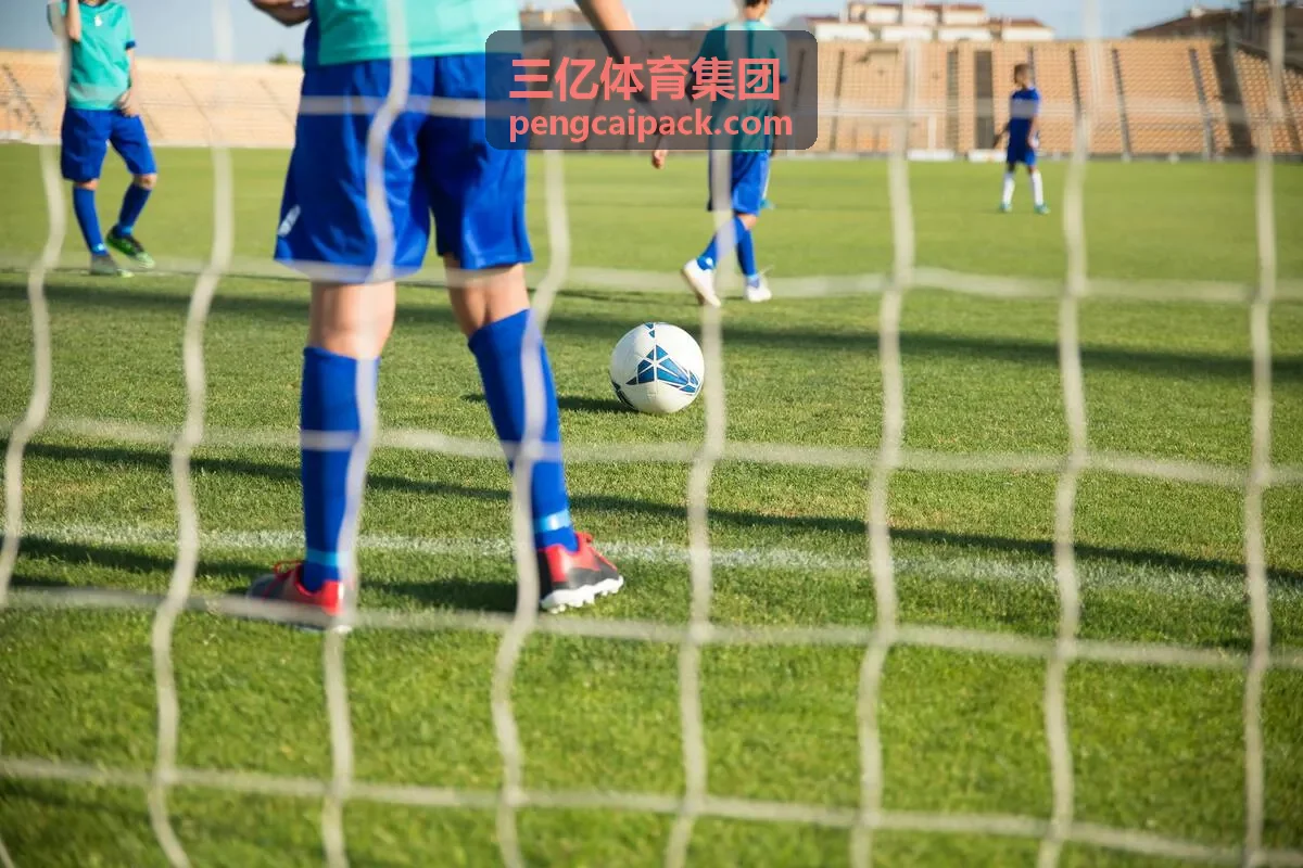 三亿体育集团某省级体育中心跑道项目